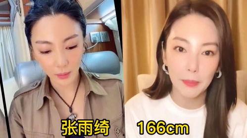 明星网红身高对比表图片,身高对比一览表