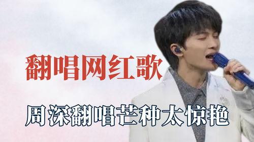 明星网红音乐大全视频播放,热门视频播放量揭秘