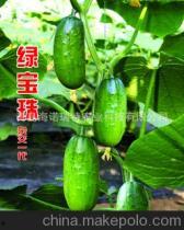 今日绿瓜价格,市场行情一览