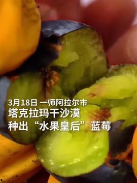 今日头条新疆蜜瓜,甜蜜滋味，疆域飘香