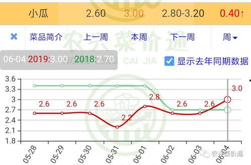 姜丙瓜价格今日报价走势,市场行情实时解析