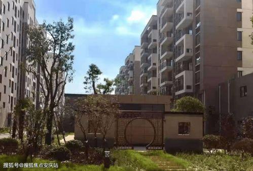 吊瓜产地行情今日最新消息,最新动态揭示价格走势与市场趋势