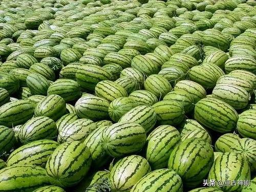 今日吃瓜反差大瓜,反差大瓜，揭秘娱乐圈背后的真相