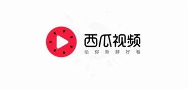 后山瓜林今日头条,探寻乡村田园新风尚，体验采摘乐趣