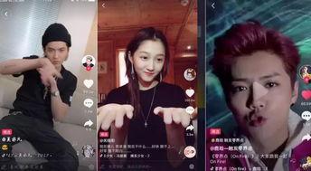 明星网红讲解视频在线观看,网红明星带你领略精彩讲解视频魅力