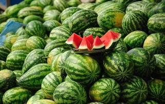 吃瓜网今日吃瓜 热门大瓜唐山,吃瓜网揭秘今日热门大瓜