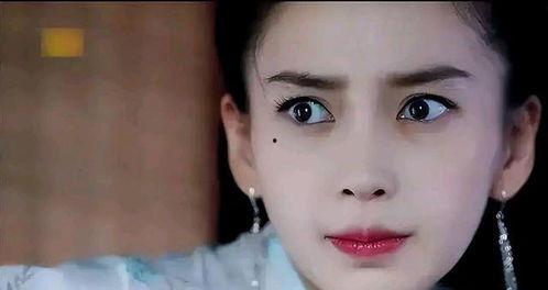 明星网红科普作品有哪些,科技前沿与生活智慧一网打尽