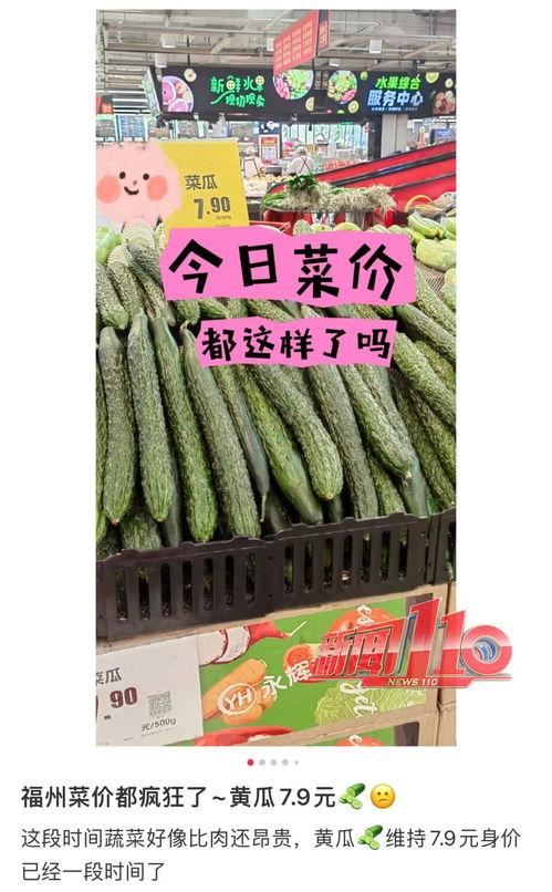 永城今日瓜价最新消息