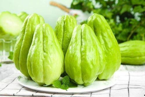今日佛手瓜尖价格