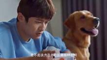 明星网红抗疫故事简短,网红明星的抗疫感人瞬间