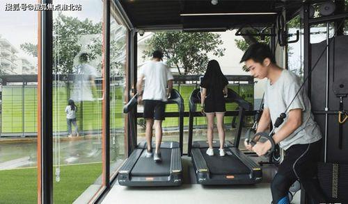 嵩明小瓜今日价格查询最新,实时行情一览