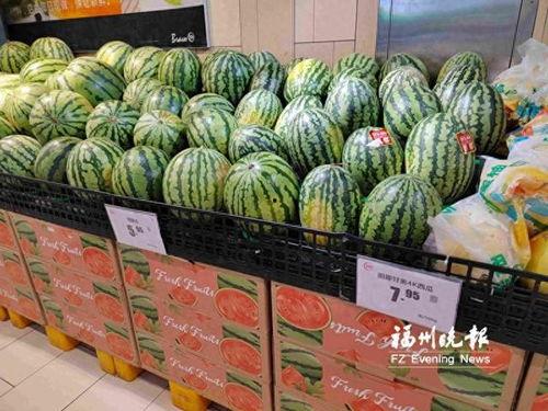 玲珑瓜今日价格最新行情,价格波动解析与市场趋势洞察”