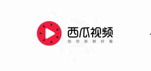 今日头条梅梅吃瓜,揭秘娱乐圈最新热点事件