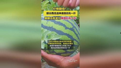 今日麒麟瓜行情,价格波动与市场趋势分析