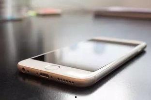明星网红品牌手机钱包,潮流科技与个性时尚的完美融合