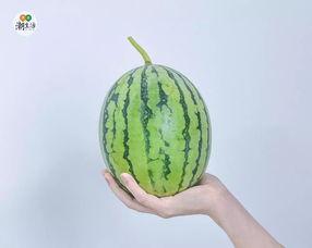今日份吃瓜图片,揭秘娱乐圈最新热点事件