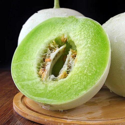玉菇蜜瓜今日价格行情,甜蜜价格波动解析