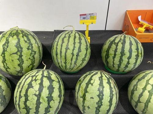 8424麒麟无籽瓜今日价格,价格行情一览