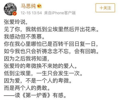 明星网红经典语录摘抄,明星网红经典语录集锦