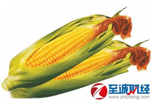 玉米今日行情瓜洲,今日市场动态解析