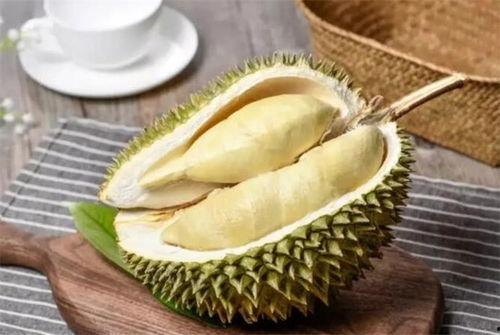 榴莲瓜园今日头条,揭秘热带水果王国里的奇珍异果传奇