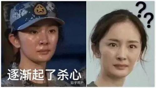 明星网红表情包图片可爱,网红表情包中的可爱瞬间