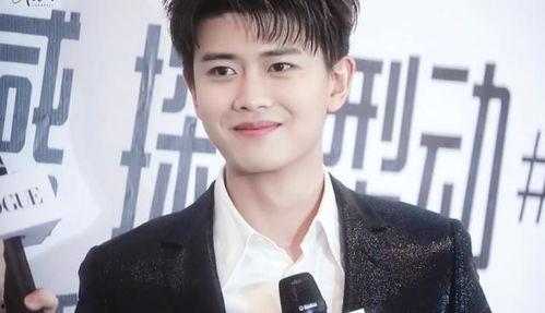 明星网红撞脸任嘉伦,相似度高达99%的神秘面孔！”