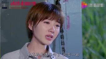 上海垃圾桶明星网红,变身网红，演绎城市新风尚