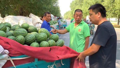 韩寺今日吊瓜价格,市民争相购买