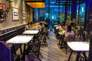 明星网红探店剧情介绍,明星打卡背后的美食风云